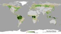 Dosbarthiad a dwysedd biomas uwchben y ddaear yn 2022 (hawlfraint: ESA/Planetary Visions)
