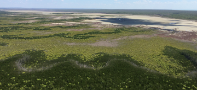 Llun o’r awyr o diroedd mangrof yng ngogledd Awstralia.