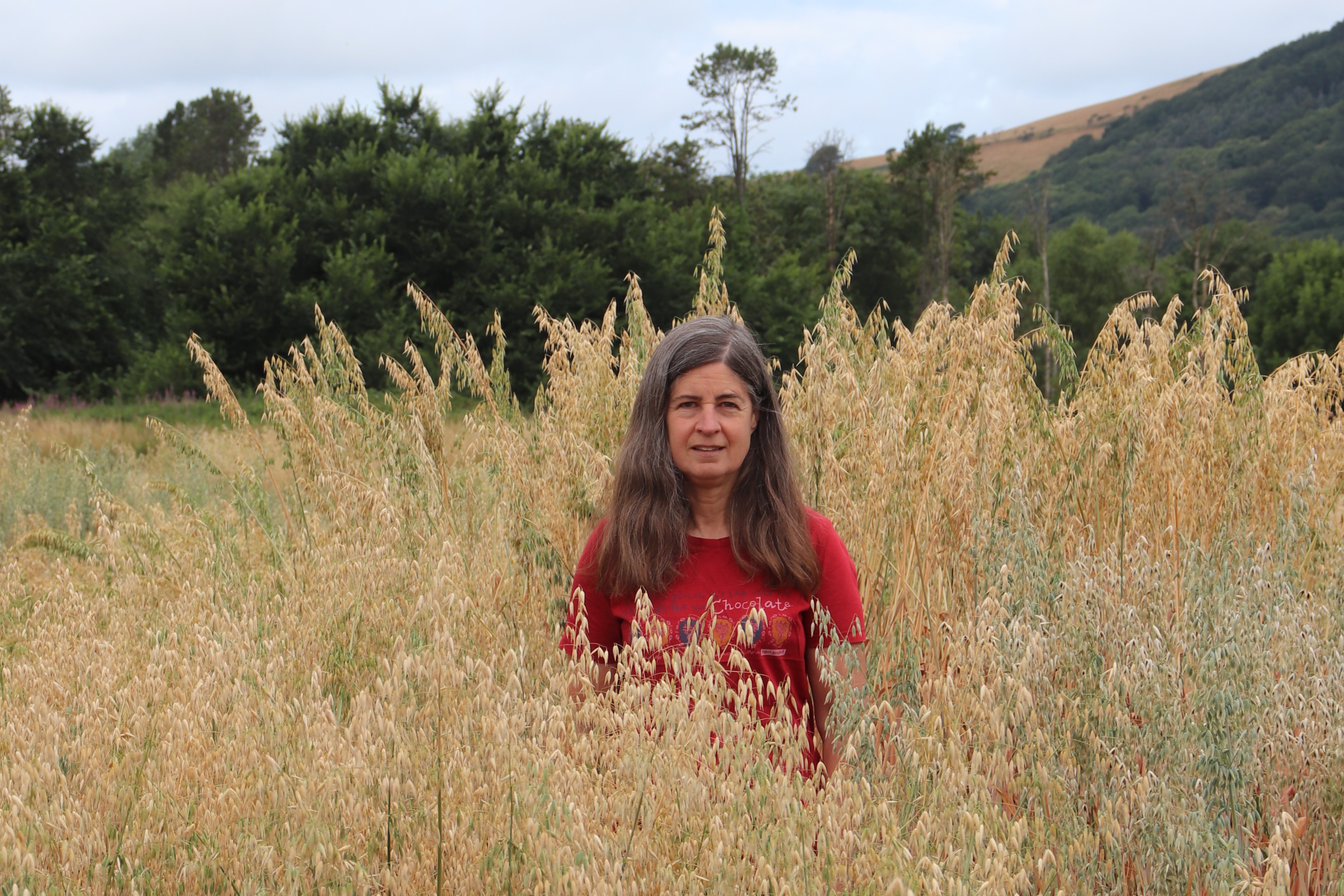 Dr Catherine Howarth, IBERS, Prifysgol Aberystwyth