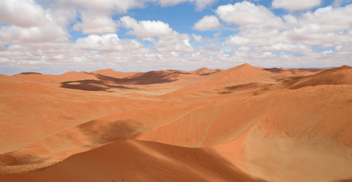 Namib Desert