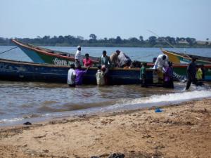 Mae Sgistosomiasis yn effeithio ar dros 200 miliwn o bobl ledled y byd ac mae’n cael ei drosglwyddo gan falwod dŵr croyw mewn ardaloedd trofannol yn Affrica, Asia a De America. 