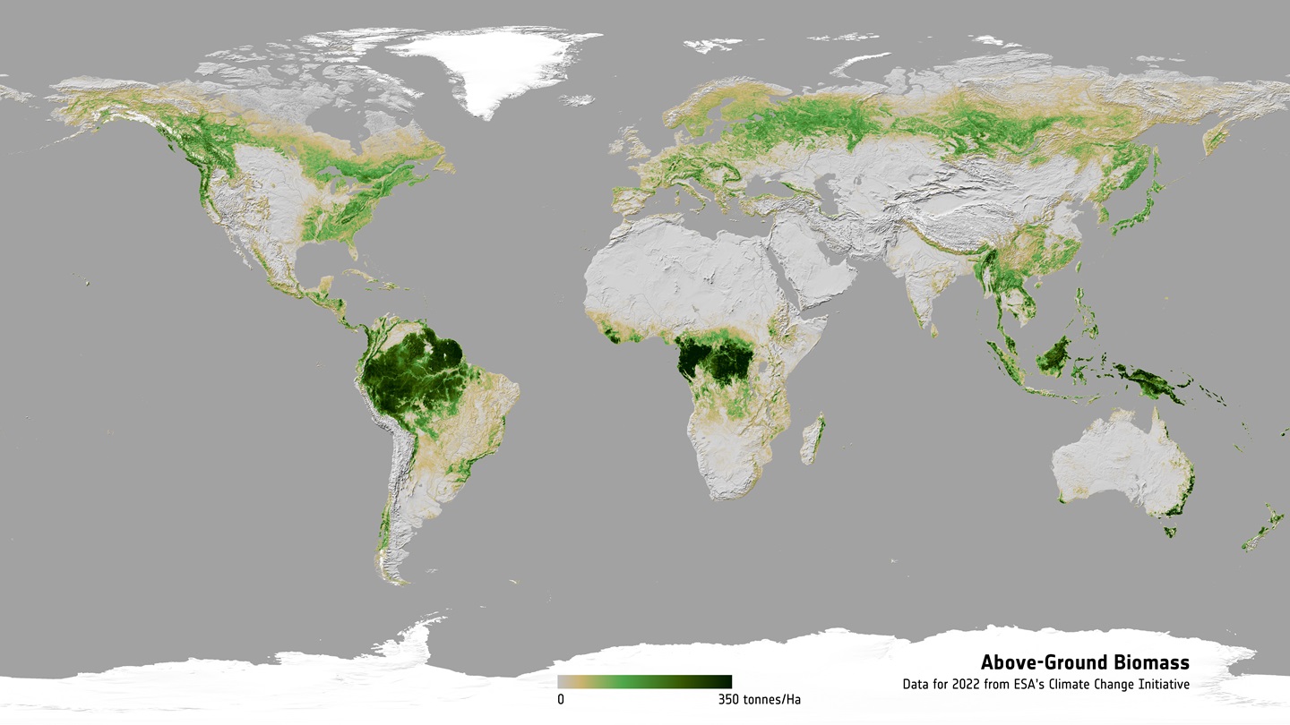 The distribution and density of above-ground biomass in 2022 (credit: ESA/Planetary Visions).