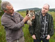 Tony Cross (Welsh Kite Trust) and Matt Hegarty (IBERS) with the chick