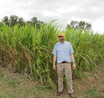 Prof. Iain Donnison during his visit to Brasil in November 2012.