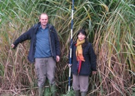 Miscanthus hybrids such as these growing in Aberystwyth, Wales UK are expected to play an increasing role in providing renewable energy. Dr John Clifton-Brown (L) and Dr Lin Huang, have collected wild Miscanthus in South Korea to increase biomass yield and quality for use in UK, EU and US.