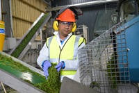 Processing ryegrass for products at BEACON, Aberystwyth University
