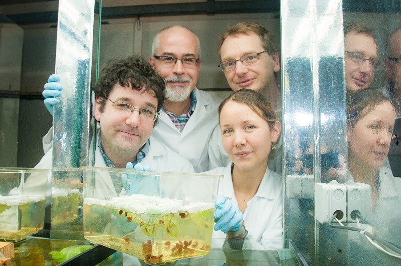 Left to Right: Members of the Barrett Centre for Helminth Control at Aberystwyth University; Dr Iain Chalmers, Professor Karl Hoffmann, Dr Martin Swain and Dr Kathy Geyer