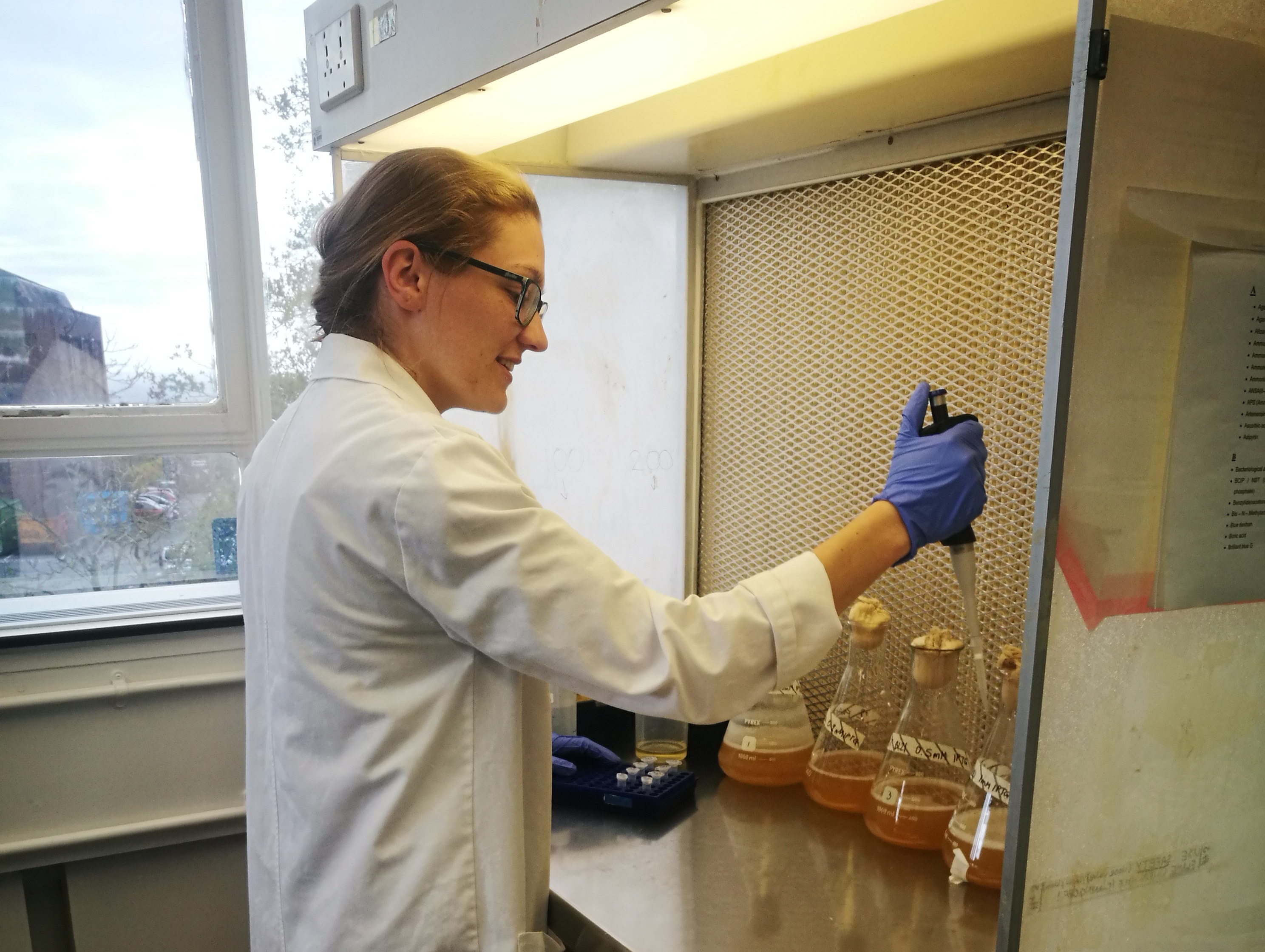 Clare Collett at the laboratories in IBERS, Aberystwyth University