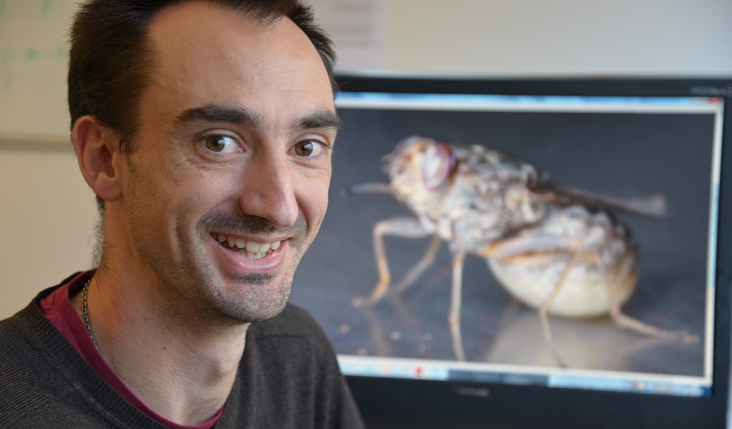 Dr Roger Santer, whose work on an understanding of how tsetse flies see colour, has led to the development of improved coloured fabric for the insecticide-treated targets used to control the flies.