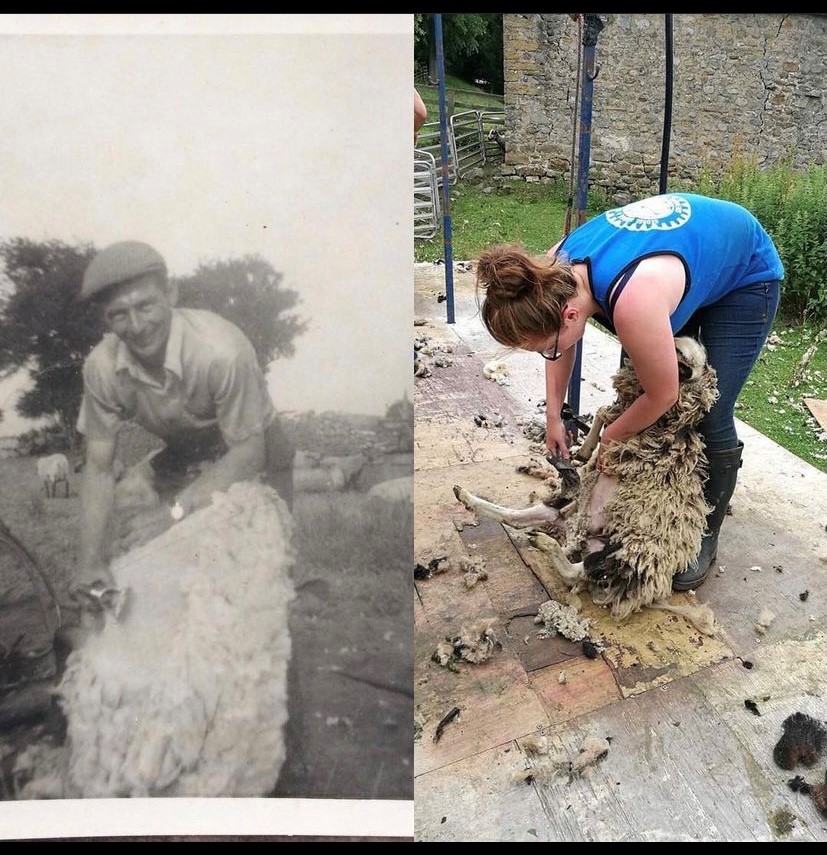 Aberystwyth University student Bethany Harper’s great grandad Ray when he was a farm worker in 1963 and on the right Bethany herself working in 2017