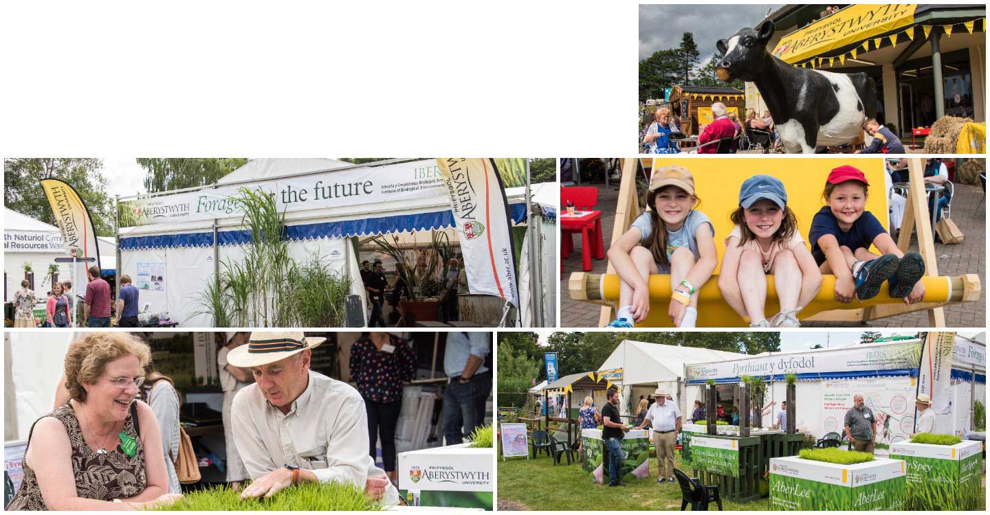 Images of IBERS, Aberystwyth at the 2017 Royal Welsh Show