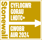 Stonewall Cyflogwr Gorau LHDTC+ Gwobr Aur 2024