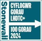 Stonewall Cyflogwr Gorau LHDTC+ Gwobr Aur 2024