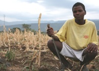 Drought conditions in Ethiopia Credit: USAID Africa Bureau