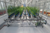 The National Phenomics Centre greenhouse at IBERS, Aberystwyth University