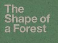 The Shape of a Forest by Jemma King