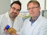 Prof Peter Brophy and Dr Russ Morphew from IBERS with parasitic roundworms