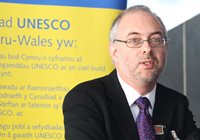 Professor Colin McInnes, Director of the Centre for Health and International Relations