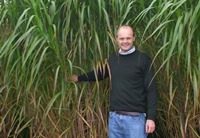 Dr John Clifton-Brown in a field of Miscanthus (Asian elephant grass)