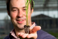 Michal Mos, Head of Science & Technology at Terravesta with a miscanthus plug developed from seed, ready for planting.