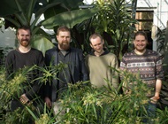 IBERS University Challenge Team (left to right): Rob Bellow, 3rd year Plant Biology; Sam Thomas, PhD Student; Henry Dewhirst, first year Plant Biology; Jacques Turner-Moss, 3rd year Conservation.