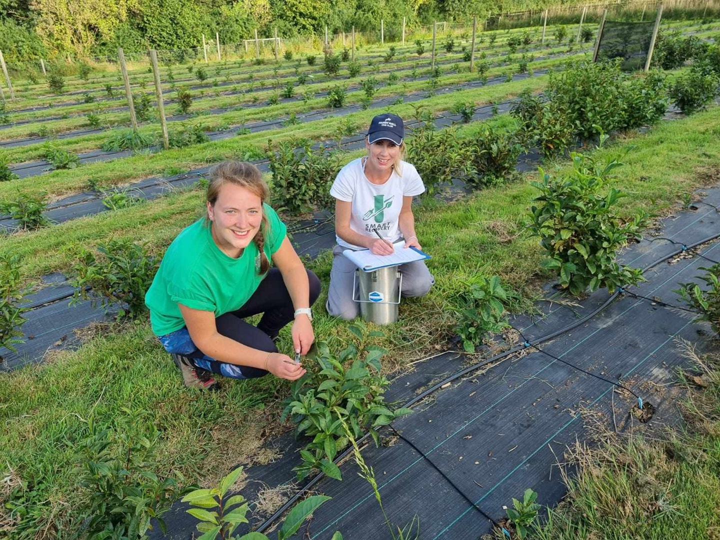 Dr Amanda J Lloyd and Dr Ali Warren-Walker gathering samples at Dartmoor Estate Tea in Devon.
