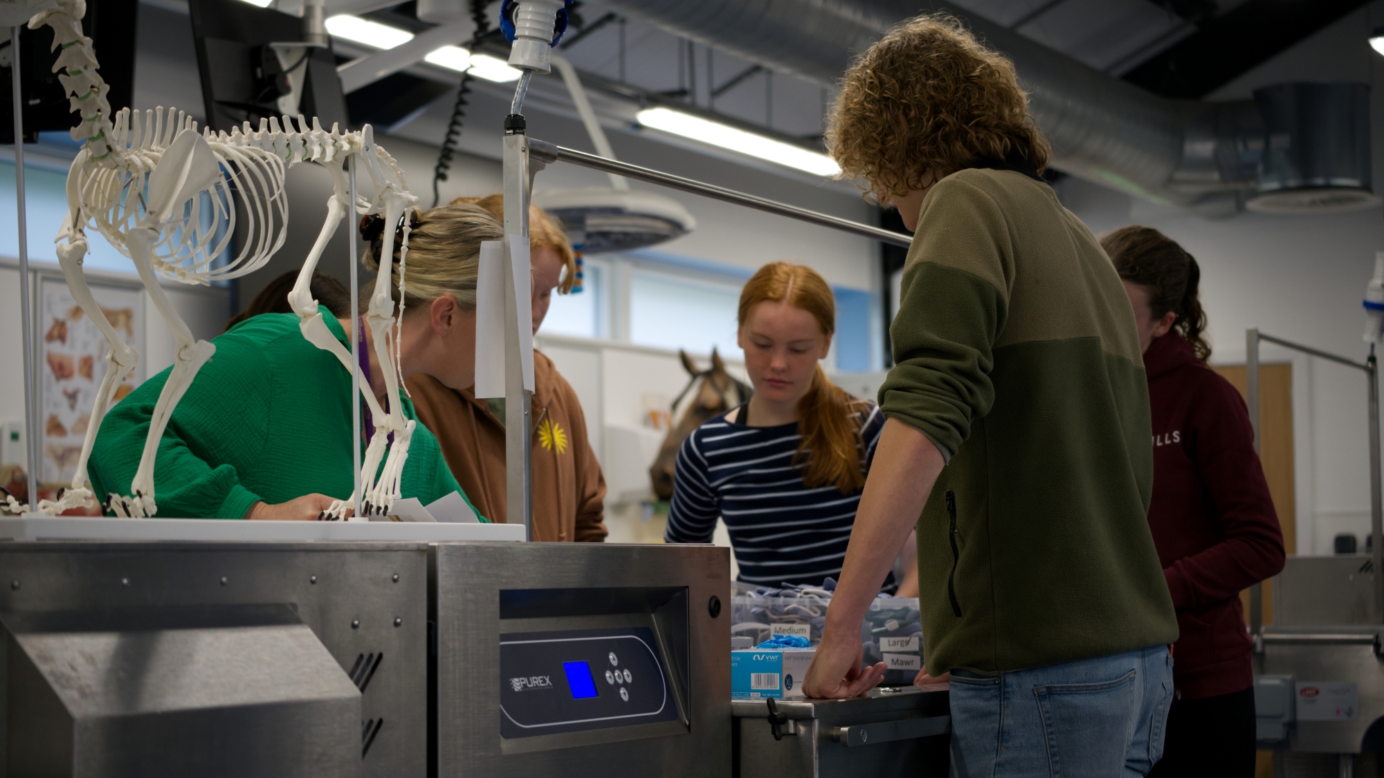 Learners on the Seren Programme at Aberystwyth University’s Veterinary Education Centre