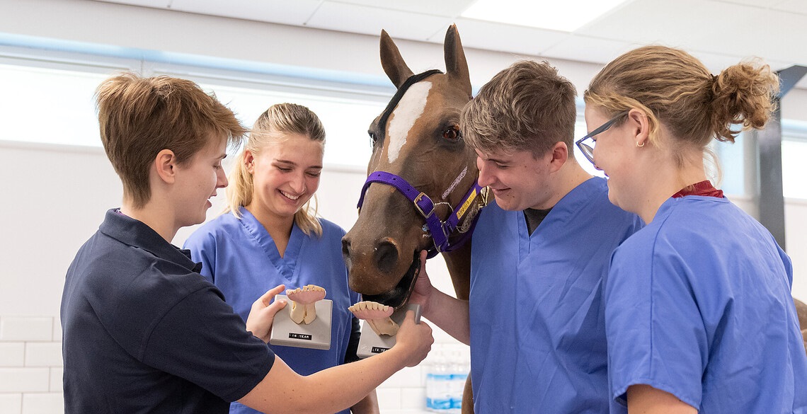 Veterinary Nursing Students