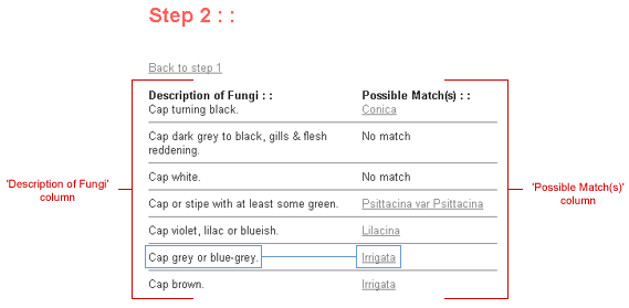 Instructions on how to use the Waxcap Key